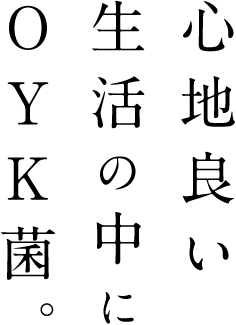 心地良い生活の中にOYK菌。