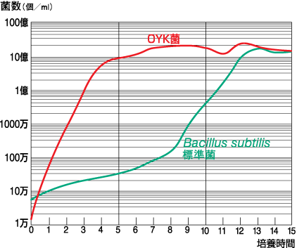 OYK菌とBacillus subtilis標準菌との増殖比較グラフ